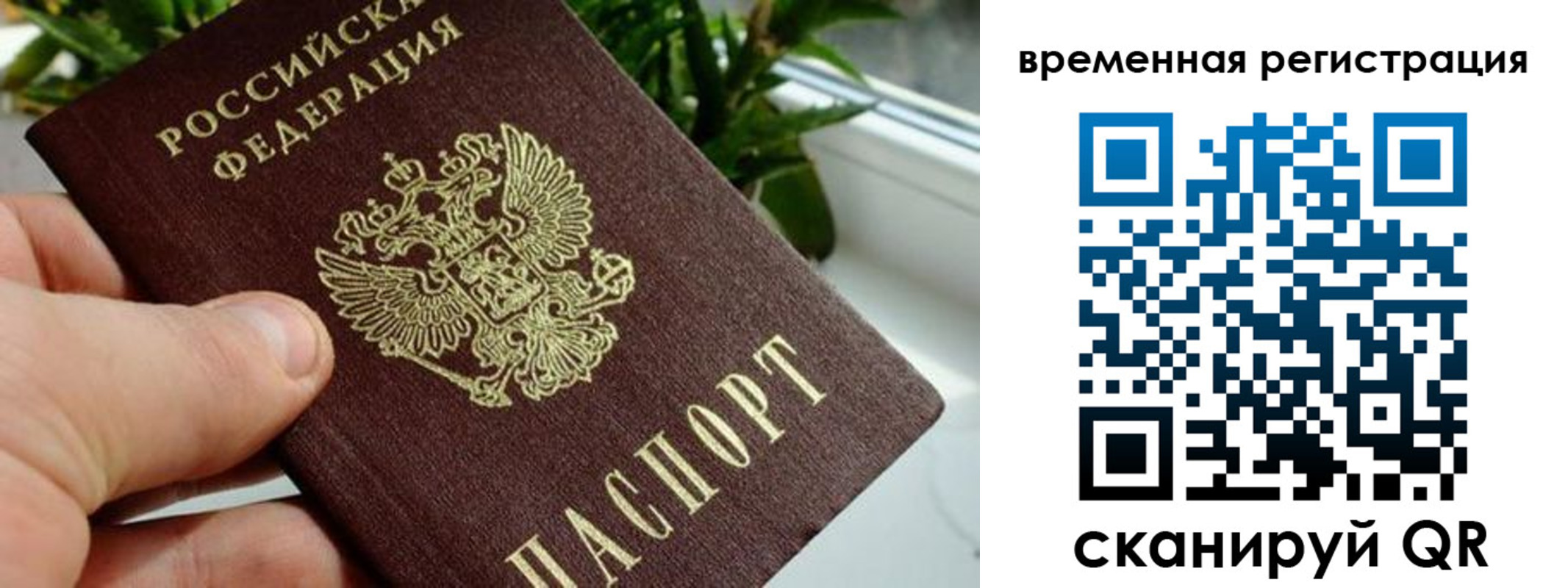 прописка поиск в Ликино-Дулёво